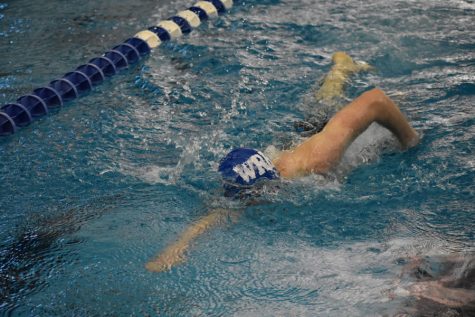 Senior Will Collins swims the freestyle during the teams second place finish at the City meet on Jan. 26.