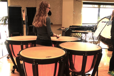 Percussion Ensemble performs at workshop