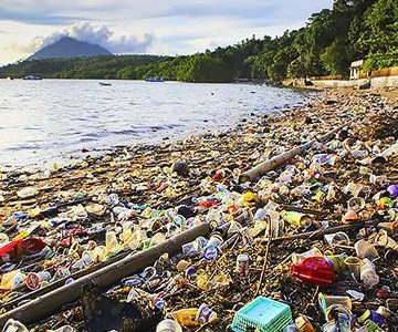 Current Environmental Issues