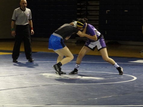 Wresting Teams Compete in Centennial League Championships